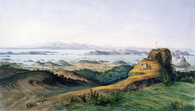 Panorama of Rio de Janeiro, Brazil by Adolphe D